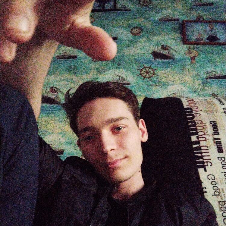  31568494  , 24 ,    