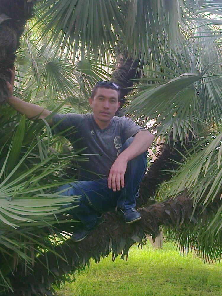 ���������� �������, ���� ������� Roman, 43 ����, ������������ ��� ������, ����� � ���������, c�������� ���������, ���������