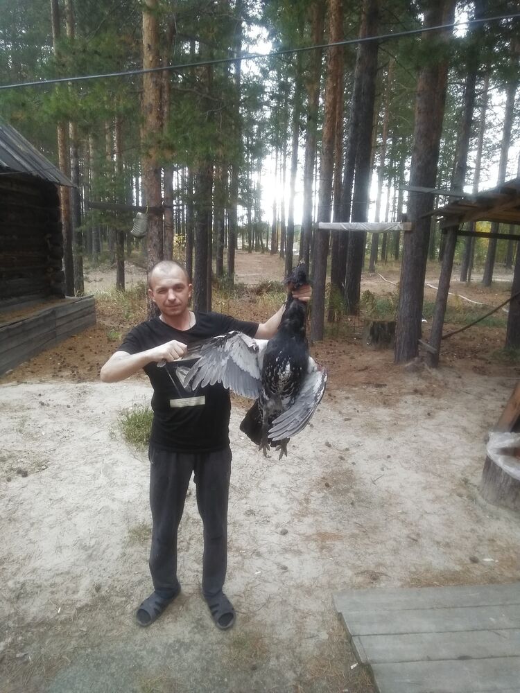  ,   , 37 ,   ,   , 