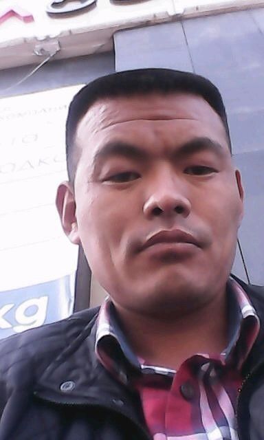  12023254  , 43 ,    