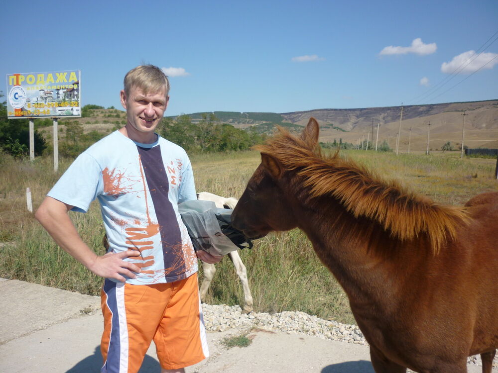 ���� 56121454 ������� ����, 56 ���, ���� ���������� � ������