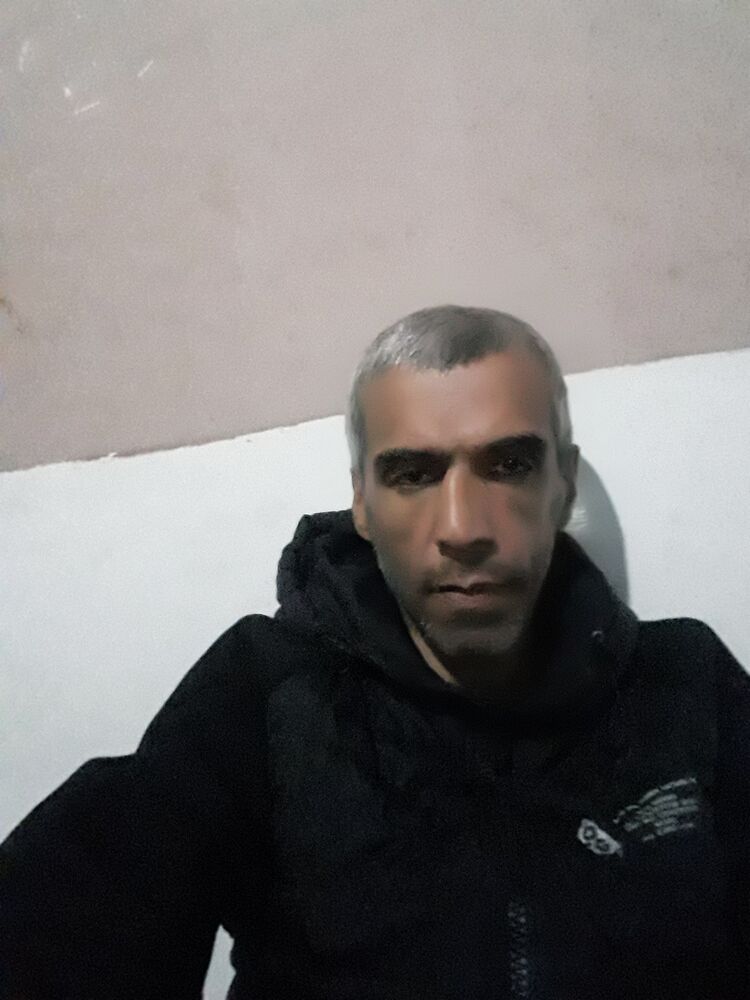  50501334  , 50 ,    