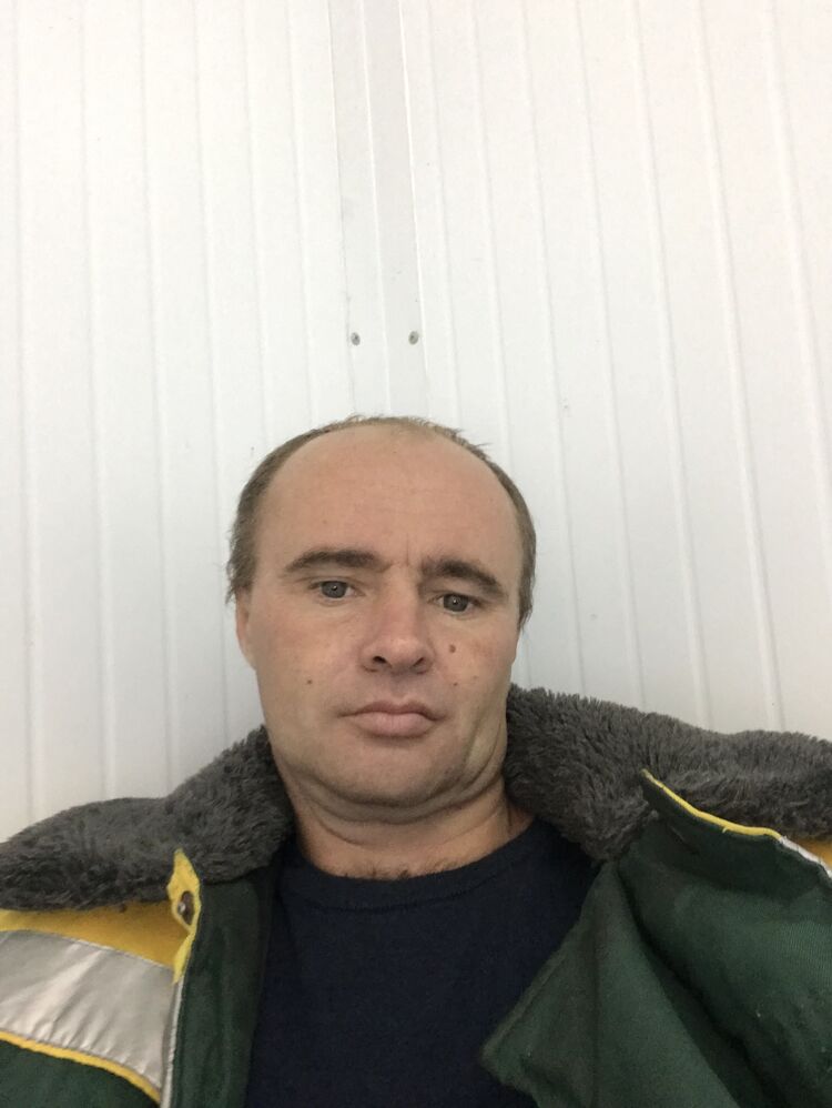  46485774  , 38 ,    