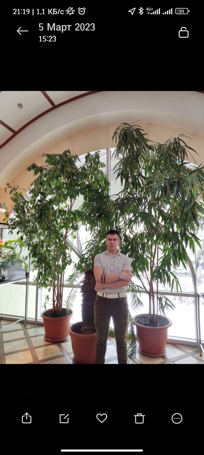  33286724  Andrey, 21 ,    -