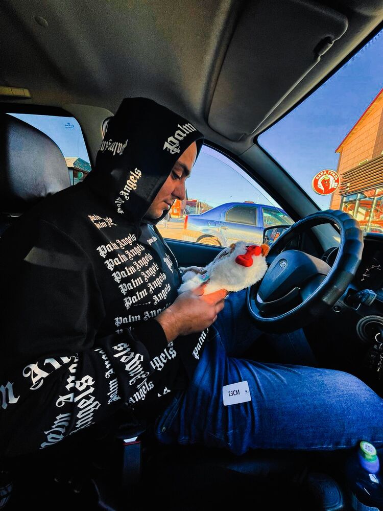 ���������� ���, ���� ������� Phenix, 33 ����, ������������ ��� ������, ����� � ���������, ���������