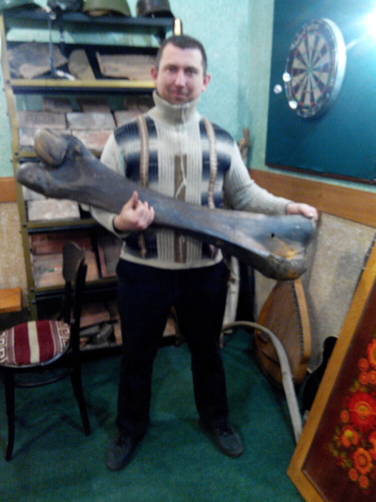 ���������� ��������������, ���� ������� ������, 44 ����, ������������ ��� ������