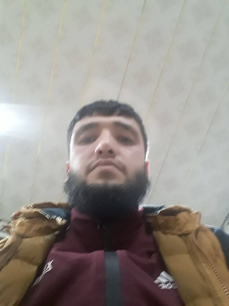 ���������� �������, ���� ������� Sardor, 33 ����, ������������ ��� ������, ����� � ���������, c�������� ���������, ���������