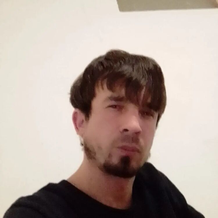 ���� 49862094 ������� ����, 29 ���, ���� ���������� � ������