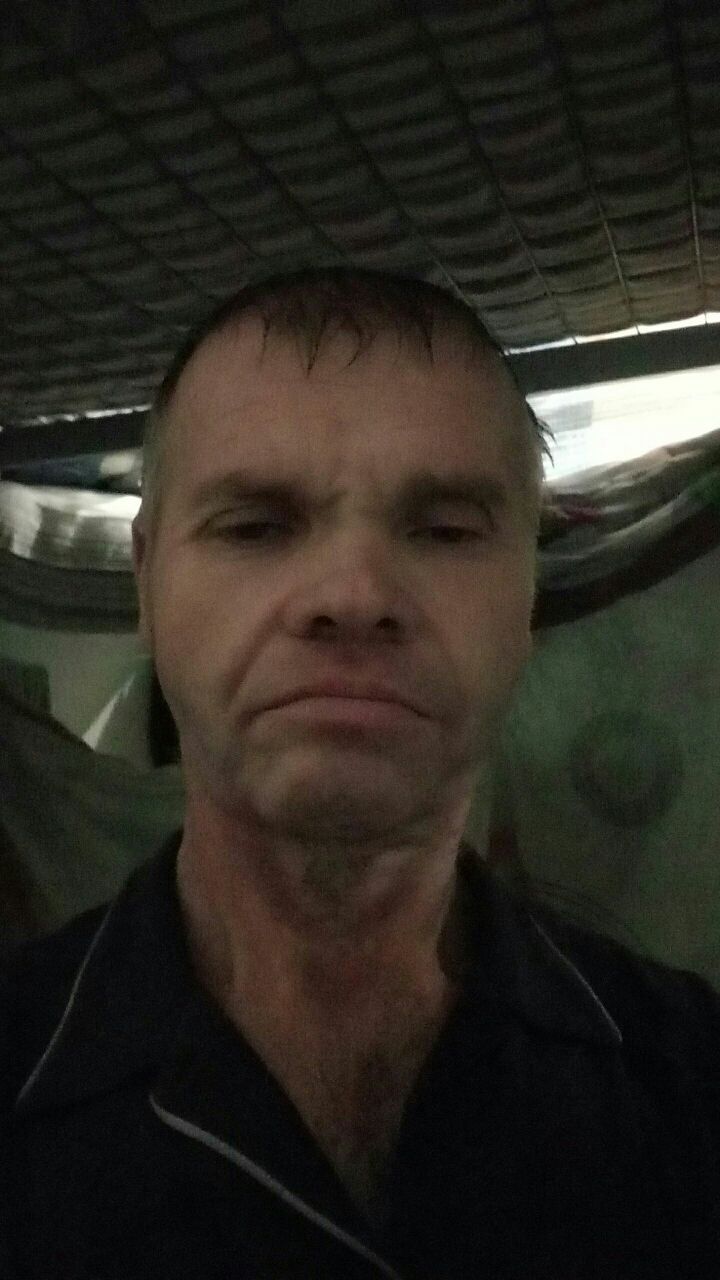  43166954  , 50 ,    