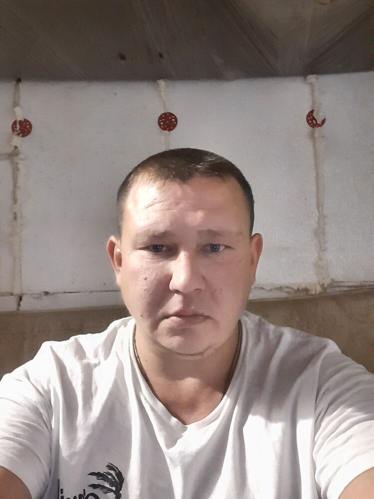  31346784  , 38 ,    