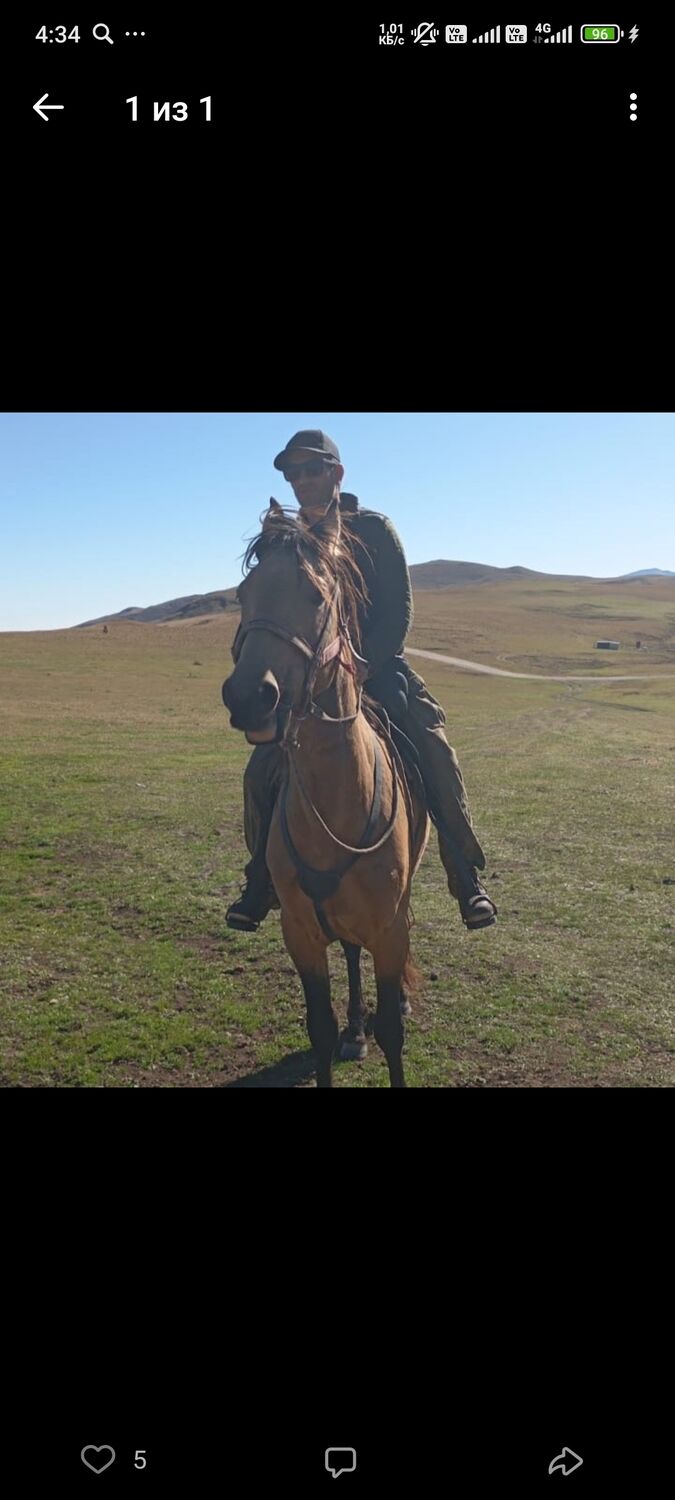 ���� 54965094 ������� ����, 38 ���, ���� ���������� � ��������