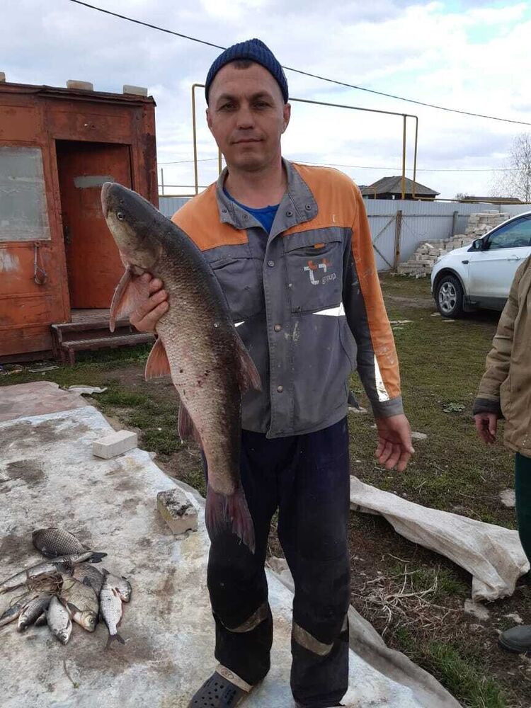 ���������� ������, ���� ������� ����, 44 ����, ������������ ��� ������, ���������