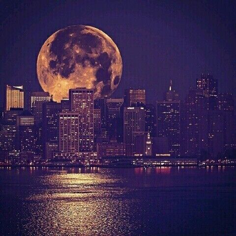 ���� 20767304 ������� Igbol, 32 ����, ���� ���������� � �����-����������