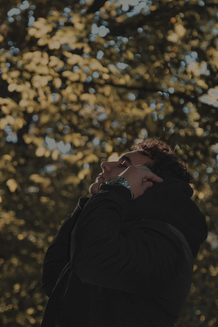 ���������� �����������, ���� ����� ������, 25 ���, ������������ 