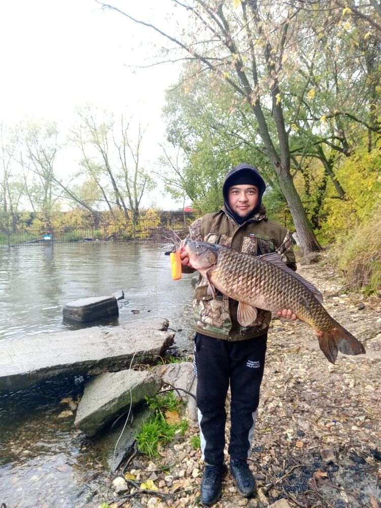 ���������� ������, ���� ������� ��������, 38 ���, ������������ ��� ������, ����� � ���������