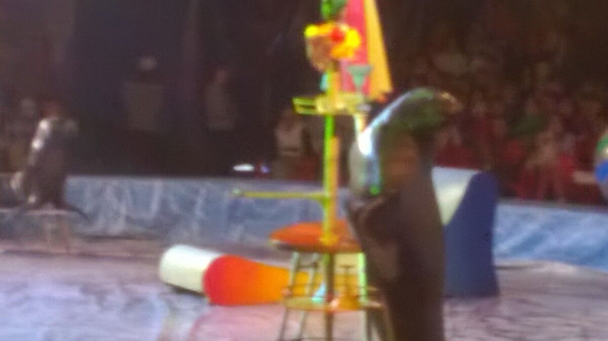 ���� 6419824 ������� ����, 42 ����, ���� ���������� � �������