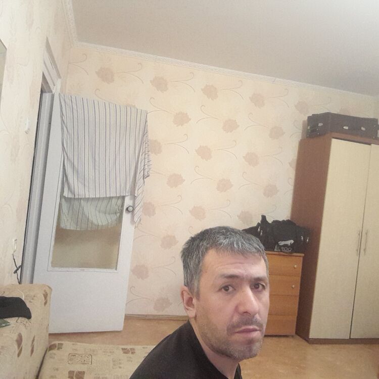  49941594  , 41 ,    