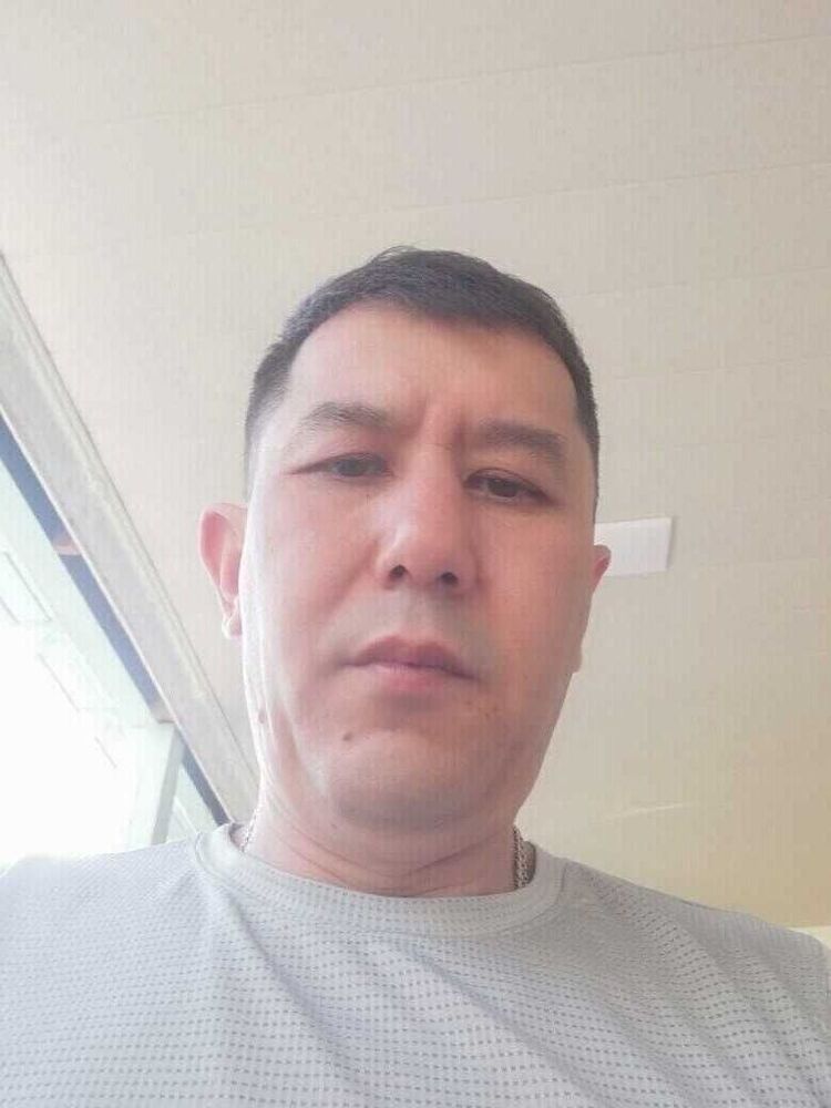  53534124  , 41 ,    