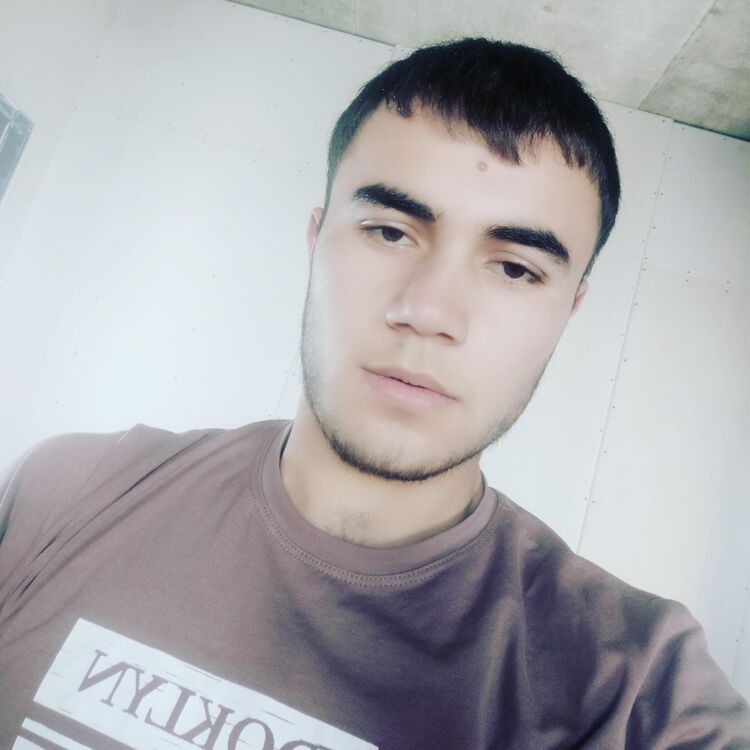 ���� 27733204 ������� ���������, 26 ���, ���� ���������� � ��������