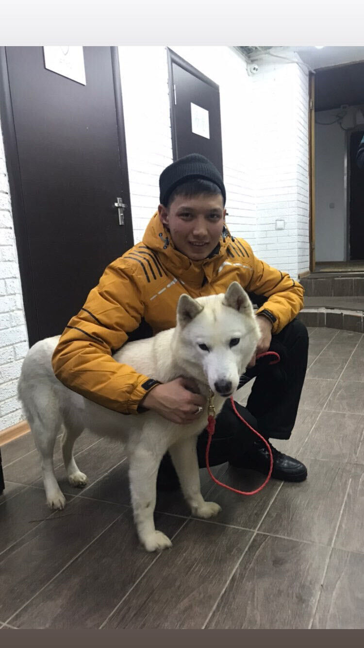 ���������� ������, ���� ������� ������, 31 ���, ������������ ��� ������, ����� � ���������