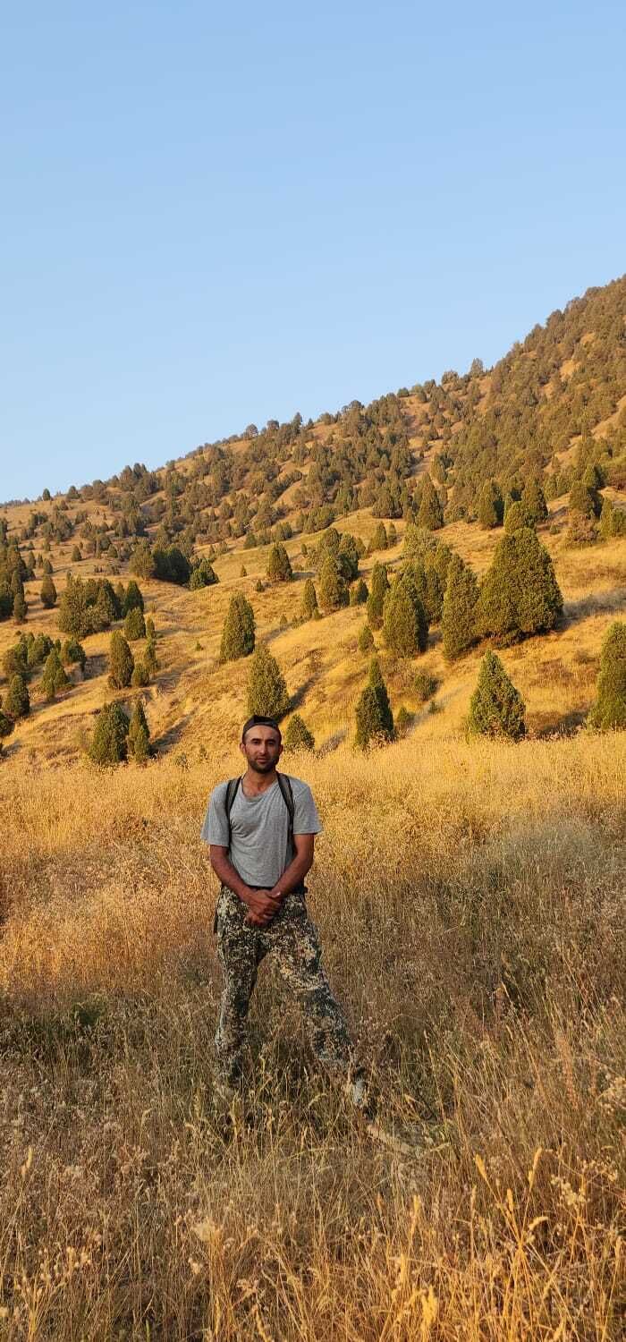 ���� 55966954 ������� �������, 30 ���, ���� ���������� � �����-����������