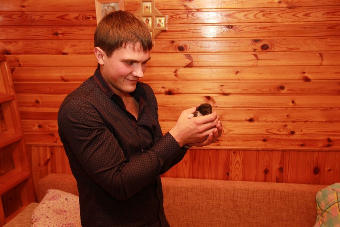 ���������� ��������, ���� ������� �����, 35 ���, ������������ ��� ������, ����� � ���������, c�������� ���������