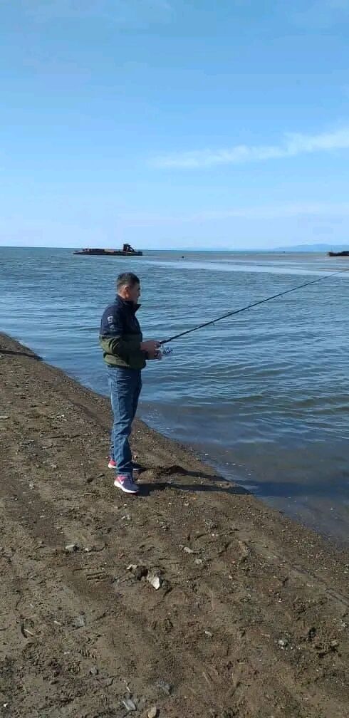 ���� 26422054 ������� ����, 48 ���, ���� ���������� � �������