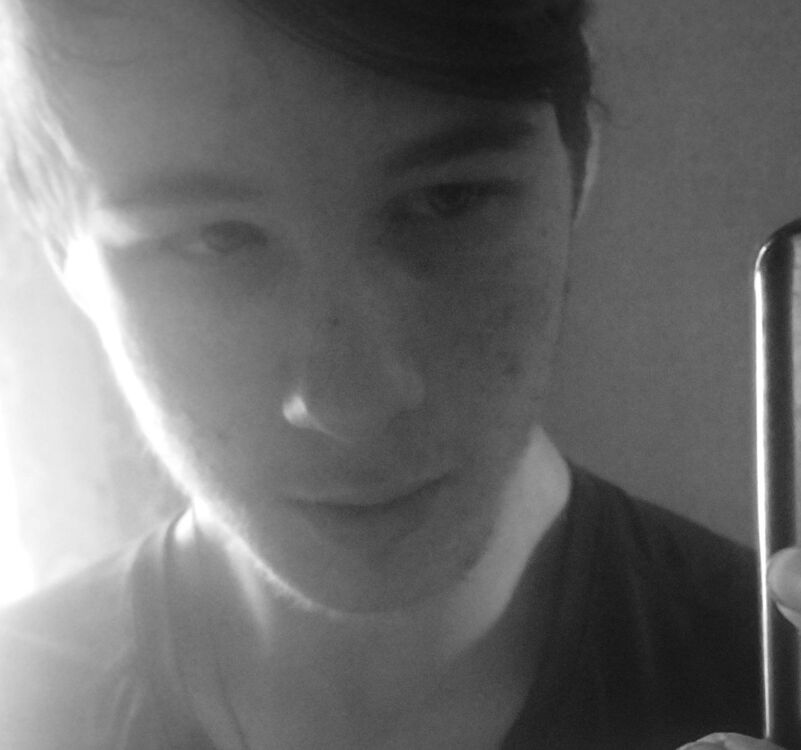 ���� 55041264 ����� ������, 18 ���, ���� ���������� � �������