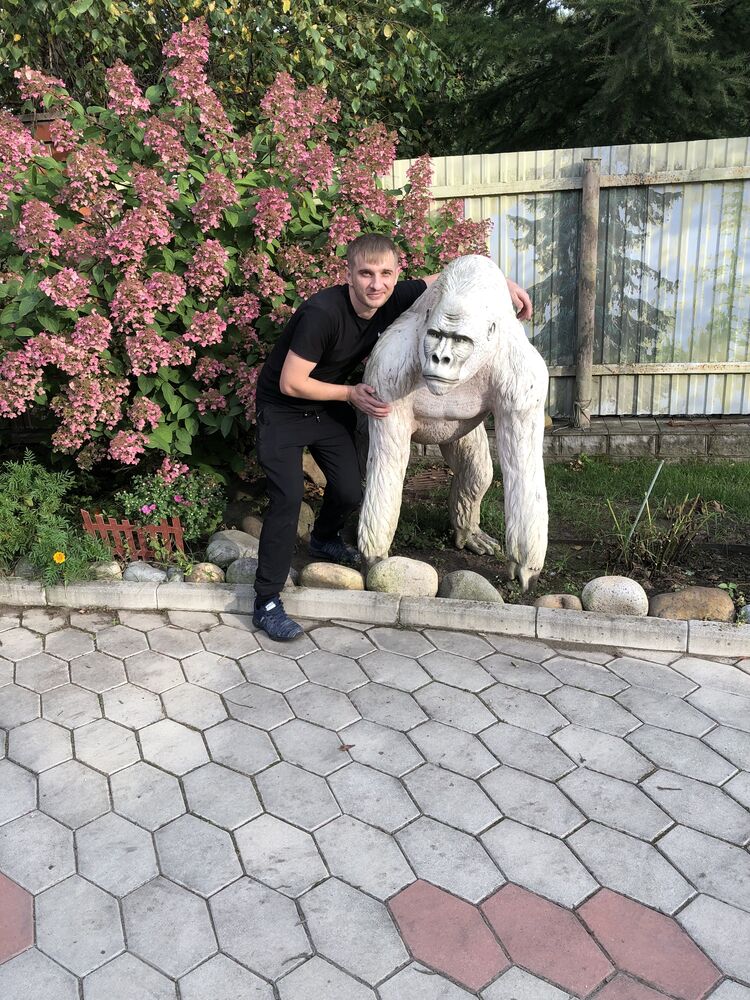 ���������� ������, ���� ������� ������, 38 ���, ������������ ��� ������, ����� � ���������