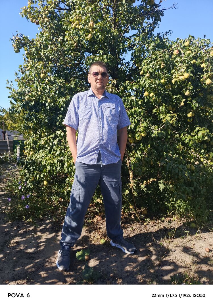  53712554  , 43 ,    --