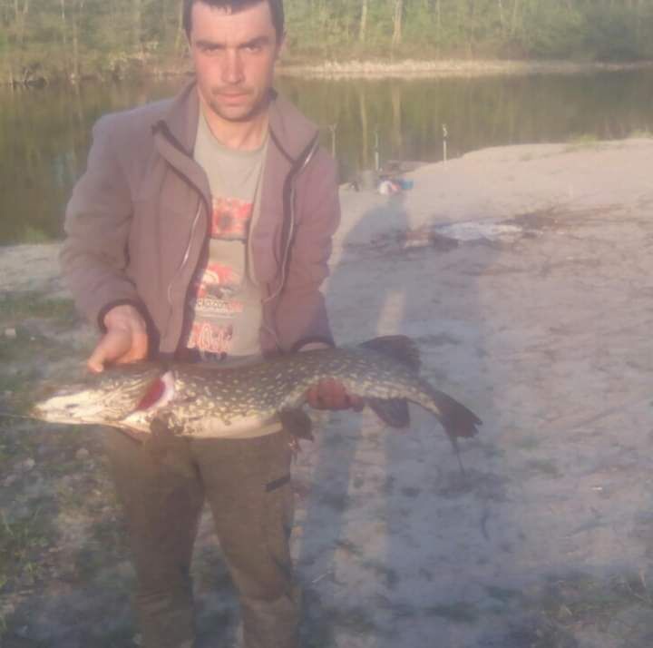 ���������� �����, ���� ������� ����, 37 ���, ������������ ��� ������, ����� � ���������