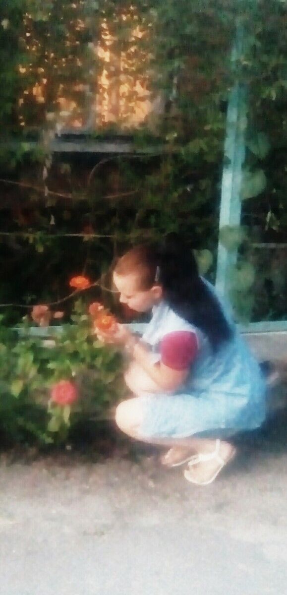 ���������� ��������, ���� ������� �������, 28 ���, ������������ ��� ������, ����� � ���������, c�������� ���������