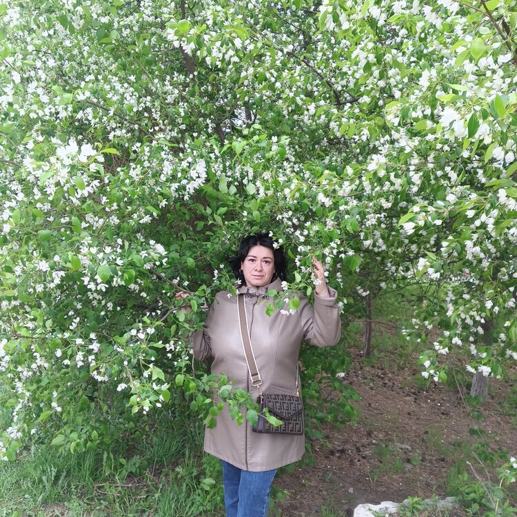  --,   , 41 ,   ,   , c 