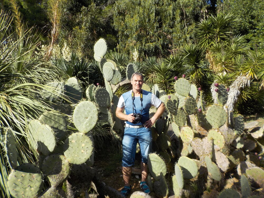 ���������� Muhlhausen, ���� ������� Aaa, 58 ���, ������������ ��� ������