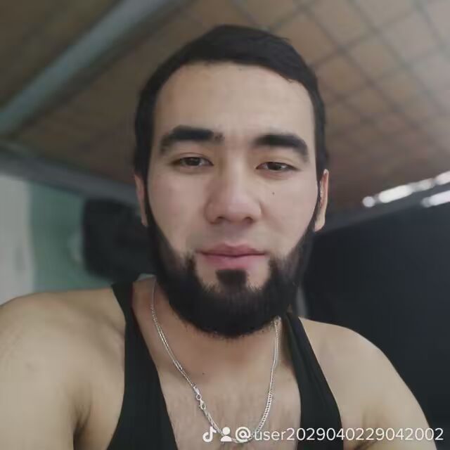  54629524  Sadir, 25 ,    