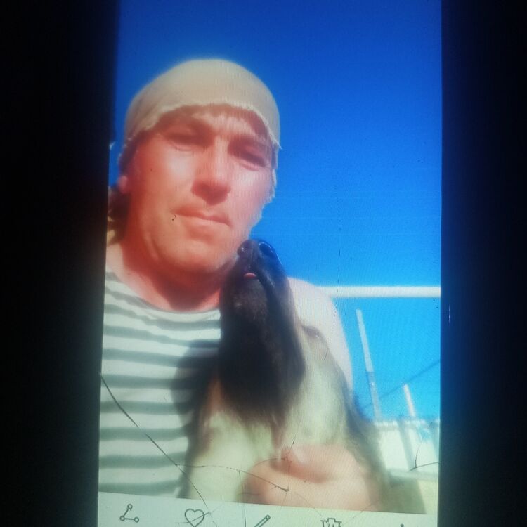 ���� 55912264 ������� ������, 54 ����, ���� ���������� � ��������