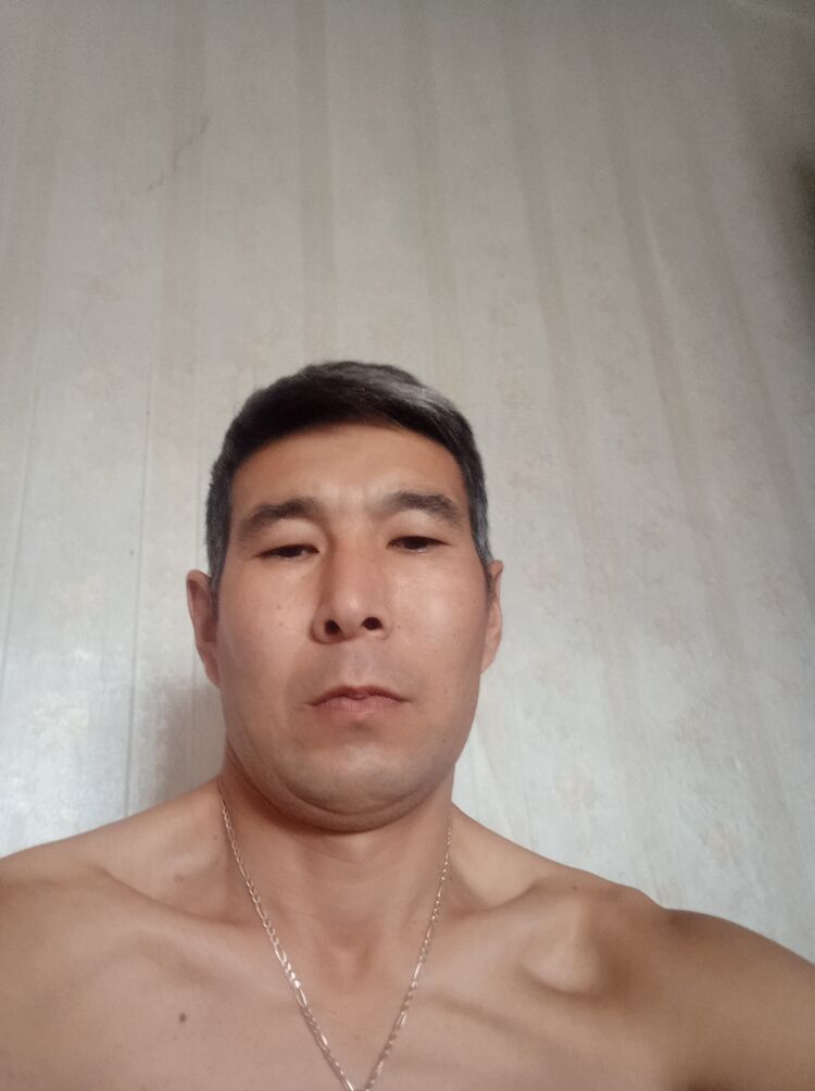  24230534  , 44 ,    