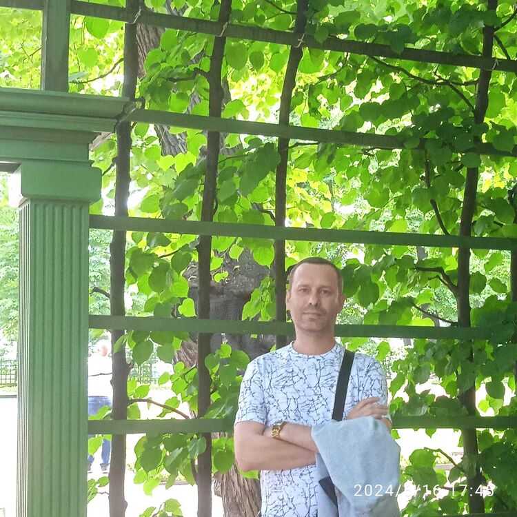  45054854  , 42 ,    -