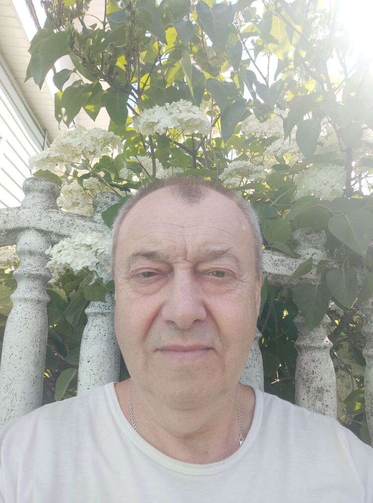 ���� 52437104 ������� �����, 66 ���, ���� ���������� � ������