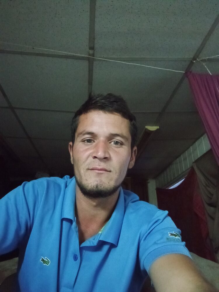 ���� 24504214 ������� ������, 29 ���, ���� ���������� � ����������