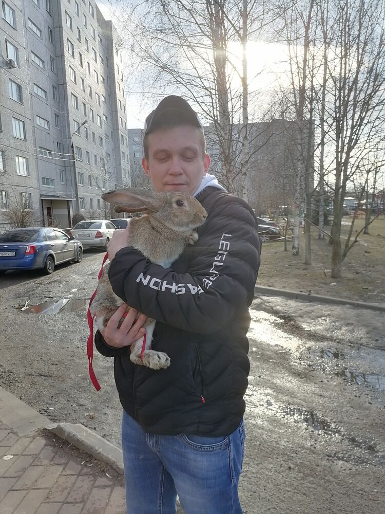  27145694  , 35 ,    -