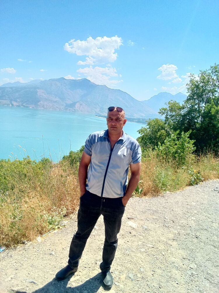  54308184  , 43 ,    -