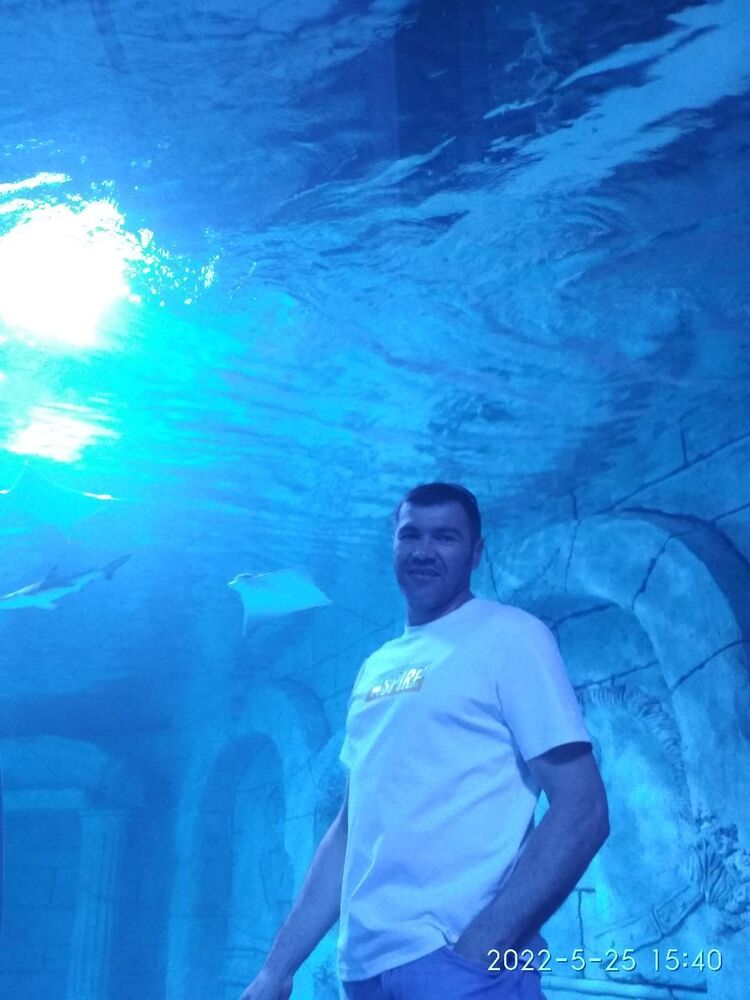 ���� 33572334 ������� �������, 45 ���, ���� ���������� � ��������