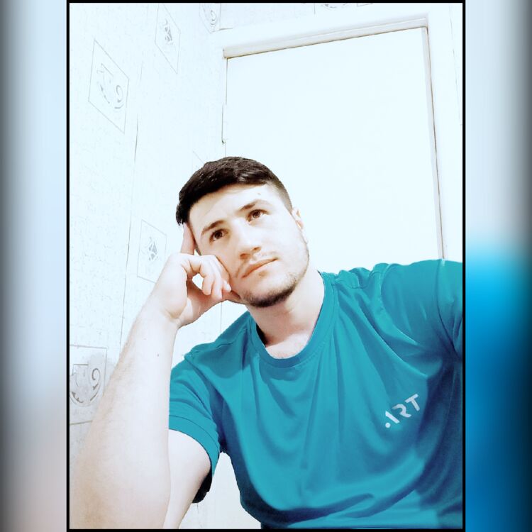  33904194  , 25 ,    