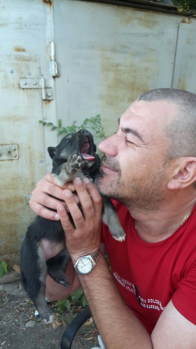 ���������� ������, ���� ������� �����, 51 ���, ������������ 