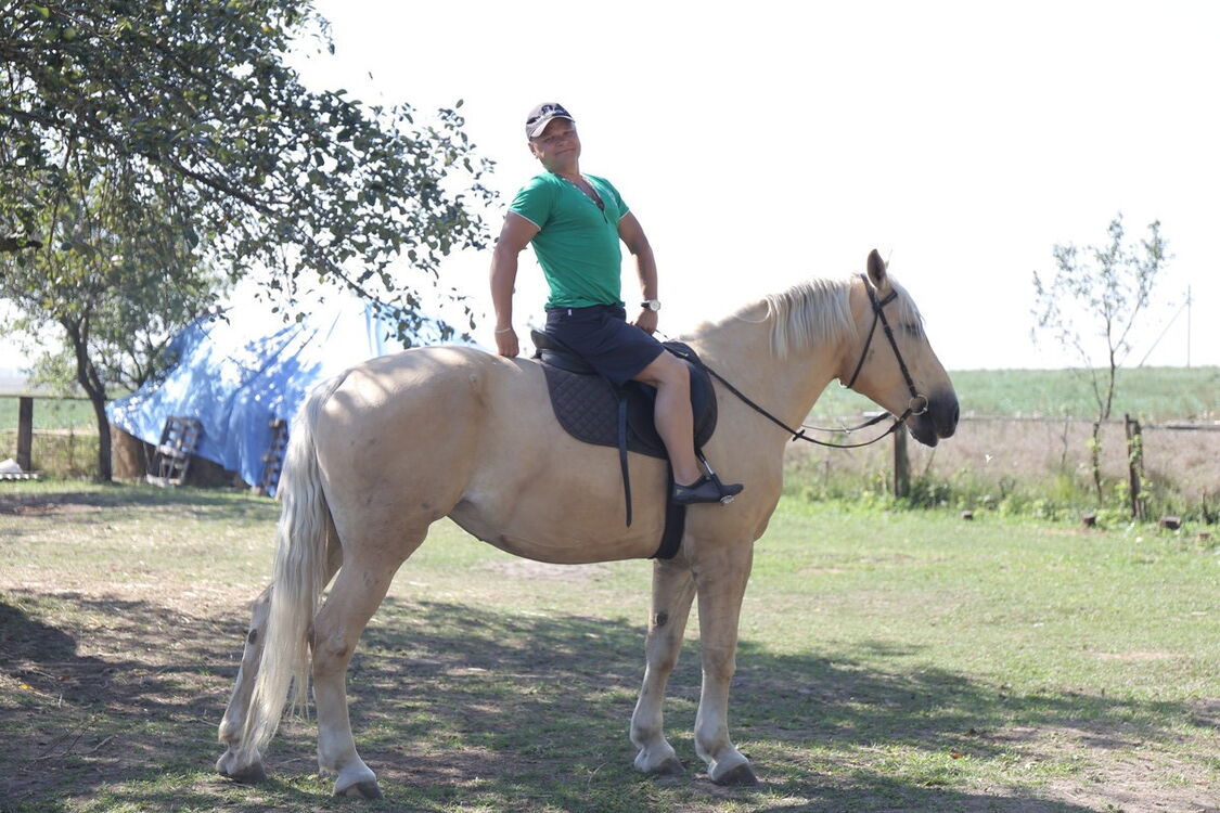 ���� 10124354 ������� ���������, 52 ����, ���� ���������� � ������