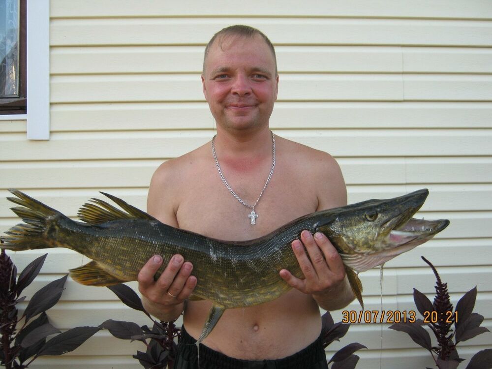  ,   Andrey, 46 ,   ,   , c 