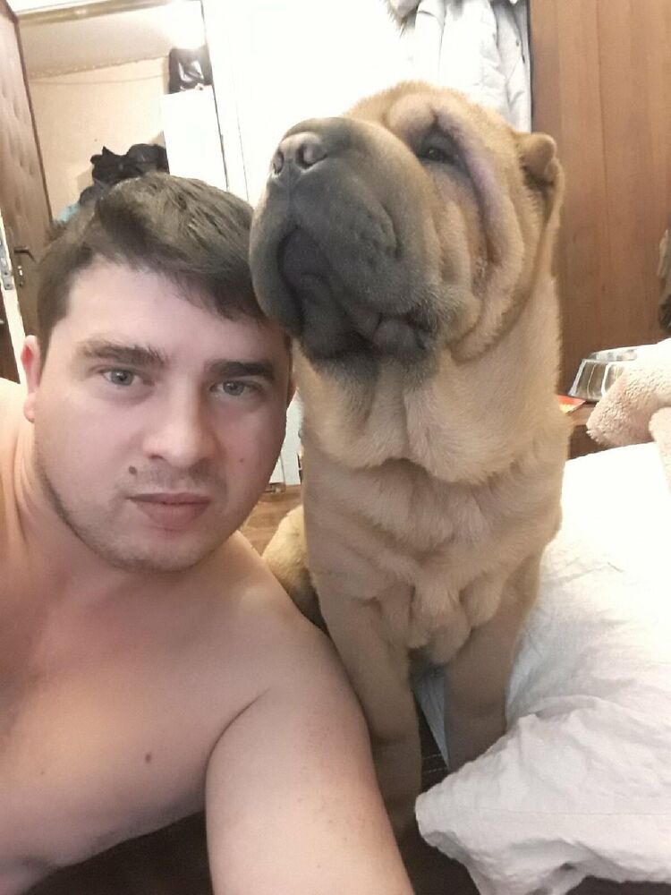 ���������� �������, ���� ������� Radu, 34 ����, ������������ ��� ������, ����� � ���������