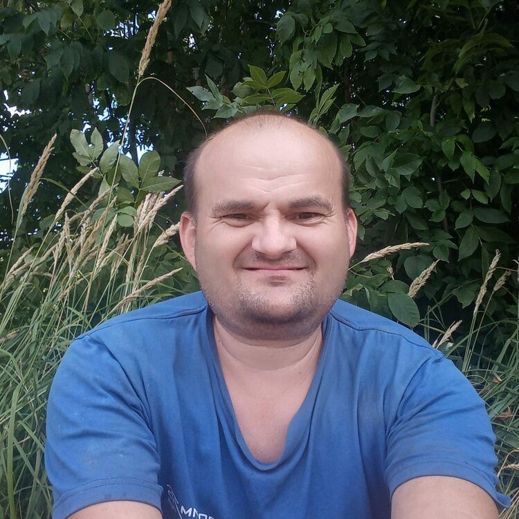 ���� 23718884 ������� �������, 50 ���, ���� ���������� � ��������