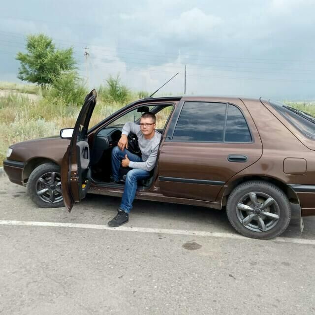  38095514  , 33 ,    -